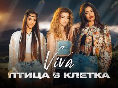 VIVA-Птица-в-клетка