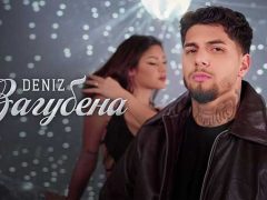 Дениз-Загубена