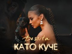 Десита-Като-Куче