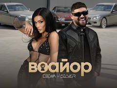 Диона-и-Силвър-Воайор