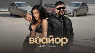 Диона-и-Силвър-Воайор