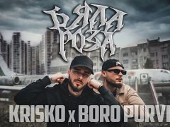 Криско-x-Боро-Първи-Бяла-роза-2