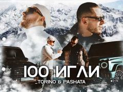 Торино-&-Пашата-100-Игли