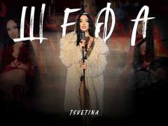 Цветина - Шефа